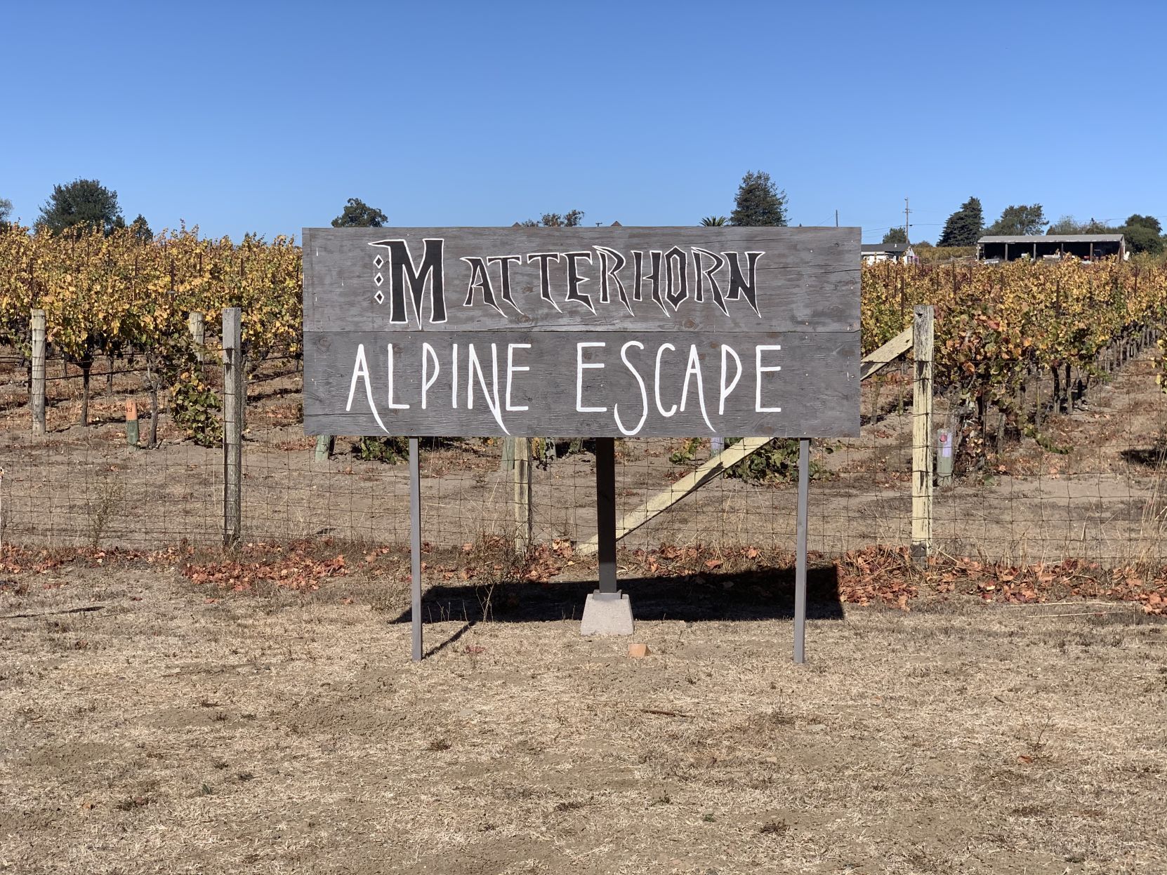 Napa Roller Coaster